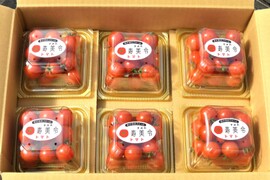 寿美令トマト🍅フルティカ（250gパック6個／段ボール発送）フルーツトマト　ミニトマト　アイメック農法