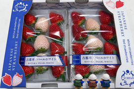 奈良発☆赤イチゴと白イチゴ(パールホワイト・ゆきぼたん)の華やか2色ミックス