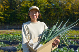 【自然栽培｜採れたて】甘くてやわらか石倉ネギ  1kg