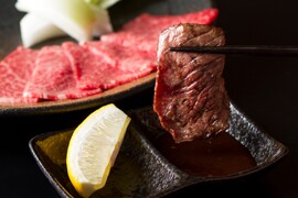 【 特盛！17%OFF 】里山牛 焼肉５種 食べ比べセット（手切り赤身カルビ・三角カルビ・モモ・カタ・ハラミ）