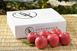 りんご  シナノスイート 大野農園スタッフ投票1位の品種  特大14～10個程度（5kg程度）