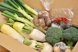 【季節のセット・準備中】赤城の冬野菜2025