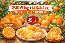 【希少高級柑橘の食べ比べ🎁】不知火1kg＋はるみ1kg🍊甘くてジューシーな人気柑橘セット