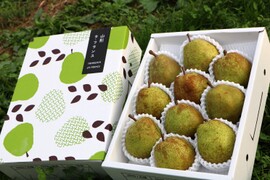 【秋ギフト・早期予約割引】山形県産 特選ラ・フランス 3kg 10玉前後 洋梨の女王🍐