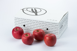 【りんご：おいらせ】濃紅色で大玉、甘さも強く食味抜群の希少りんご！10～6個（3kg程度）