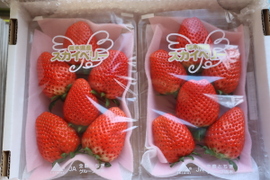 完熟スカイベリー