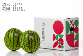 <数量限定＞野菜ソムリエサミット金賞受賞「ハズレの無い甘さ　清水農園の八色産小玉スイカ」2玉入り