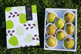 ～秋ギフト～【特選大玉ラ・フランス】3キロ6〜8玉