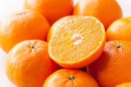 ☆初出品☆長崎特産　原口早生みかん🍊