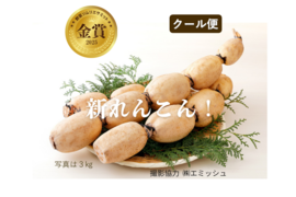 クール便【2025年野菜ソムリエサミット金賞】すずきの「口福れんこん
