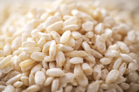 味噌や塩麹の材料に、農薬化学肥料不使用栽培　白米糀（3kg）【本州の方向け】