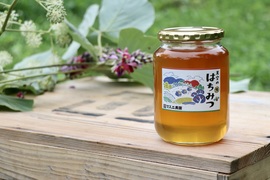 りんご農家が自ら畑で手搾り！マスニ農園天空のはちみつ（1000g 初夏の百花蜜）