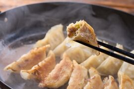 土佐を包むお山の餃子　野菜　

～　製造は「収穫後」から始まっている。鮮度と手ごねに執着した、高知・山間部の傑作　～