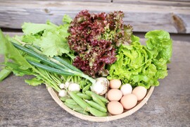 【同梱品】固定種野菜と自然卵セット【野菜7品目・卵20個】