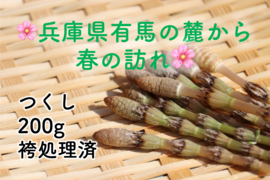 【袴処理済】有馬温泉の麓 天然つくし たっぷり200g 3月末頃から順次発送 土筆