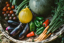 美しい水と寒暖差が育む野菜本来の味。自然のまんまの新鮮野菜詰め合わせLサイズ（1～2人で1週間分）【6月~11月発送】【冬ギフト】