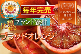 【食べチョクグランプリ受賞】滅多にお目にかかれない『幻の生ブラッドオレンジ』国産やみつきリピーター続出🍊傾斜35度の崖上で収穫される希少な宇和島ブランドみかん☆お試し約1kg【3月上旬予約】