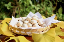 秋ですね♪もっちり大粒銀杏”久寿✨”2Lサイズ　350g