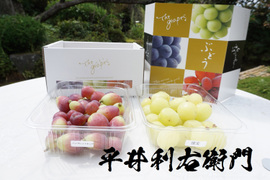 平井利右衛門の赤青ぶどう(バイオレットキング、雄宝/粒1.5kg)