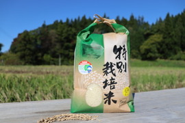 【7年産新米】 残留農薬ゼロの特別栽培米あきたこまち 5kg 特Aランク 一等米