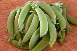 おやつになる野菜！？やみつきスナックエンドウ！(1kg)