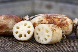 【冬ギフト】【贈答用】シャキっと!甘うまっ!!天草レンコン(5キロ)