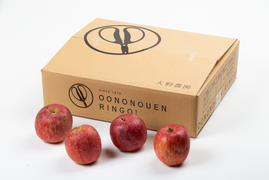 サンふじA規格　大野農園を代表する品種「りんごの王様」10～13個程度（約5ｋ）