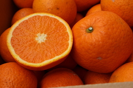 農家直送！きよみオレンジ　無選別7.5kg  【平武農園】〜蛍飛ぶ町から旬の便り〜　和歌山｜有田｜田口｜ギフト