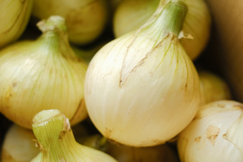 【予約商品】淡路島産新玉ねぎ 〚スイートオニオン』5kg