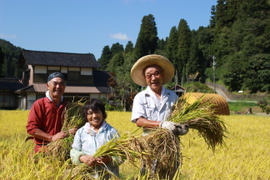 天皇献上米のコシヒカリ（特別栽培米）玄米4kg