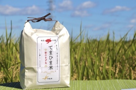 【限定生産】ふっくら優しい『てまひま米』彩のきずな10kg（5kg×2）　※自家製の完熟堆肥で育てました。