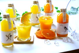 【夏ギフト】和歌山のはっさく＆みかんジュースセット（シリアルナンバー入り）