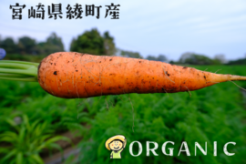 香りが濃い～🥕皮ごと食べたい
大きめ有機人参 宮崎県綾町産(ご家庭用10kg)