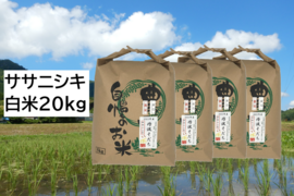 【新米・2026年産】自然栽培の新米『ササニシキ』白米20kg
