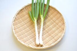 和らぎ農法　長ねぎ（1～2本）