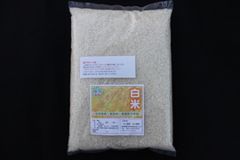 【化学肥料不使用】高アミロース米「ふくのこ 白米10kg (令和5年産)」血糖値の上昇がゆっくり