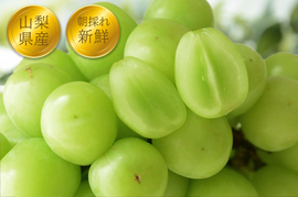 クール便💚指定【予約販売🍇朝採れ山梨シャインマスカット】２キロ ３～４房！一度食べたら忘れられない 【生産量日本一の山梨県産】