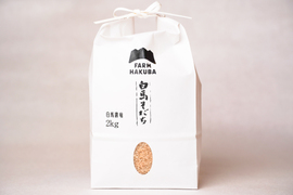 【令和7年米】もち米　もちひかり(2kg)