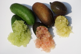 話題の柑橘！！
フィンガーライム 100ｇ！