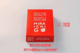 【冬ギフト】朝採り出荷！新鮮完熟あまおう！　大玉9～15玉入り！3箱セット[熨斗対応可]