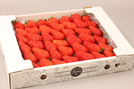 【完熟紅ほっぺ】サイズ混合900g