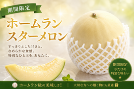 【野球好きへ】ホームランスターメロン2玉(合計2.4kg)