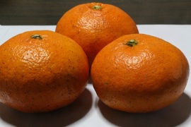【限定20箱】甘くてプリプリの果肉　甘平(かんぺい) 5kg