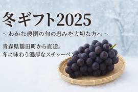 冬ギフト　青森の奇跡のぶどうスチューベン特秀2kg
