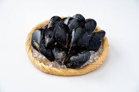 ムール貝｜岩手県越喜来湾崎浜産（1kg）