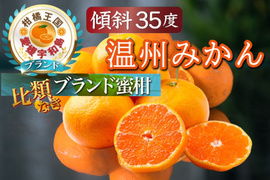 🍊みんなが選ぶお歳暮ギフト🍊傾斜35度の崖上で実る幻の宇和島ブランド温州みかん12月上旬発送【お得な大容量約3kg】【冬ギフト】