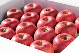 【りんご：華宝（かほう）】早生品種なのに超高クオリティーな希少りんご！特大14～9個程度（5kg程度）