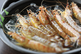 活き車海老【500g/15-25尾】
沖縄久米島からピチピチ活きたままお届け！沖縄久米島ブランド車海老