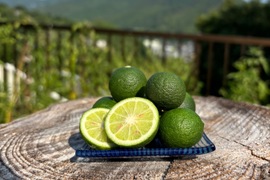 すだちの通販｜果物｜食べチョク｜産地直送(産直)お取り寄せ通販