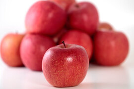 りんご好きに届けたい、全国の美味しいりんご大集合！｜食べチョク 